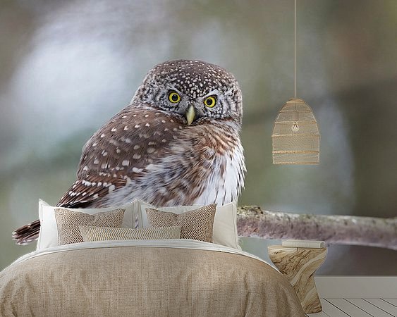 Aperçu de la chambre