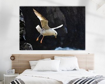 Noordse Stormvogel (Fulmarus glacialis auduboni) van Beschermingswerk voor aan uw muur