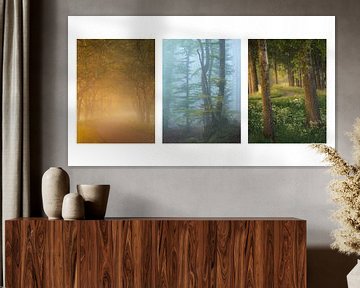Collage aus 3 schönen Waldfotos von Jos Pannekoek