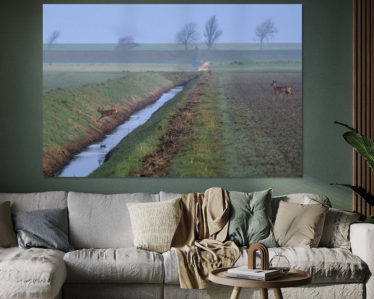 Voorbeeld van het werk in een kamer