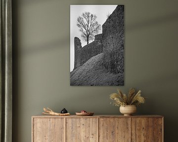 Arbre sur le mur d'un château