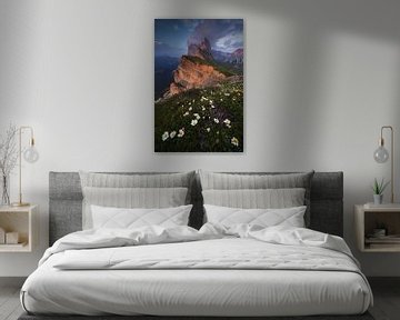 Seceda, Dolomiten von Sven Broeckx