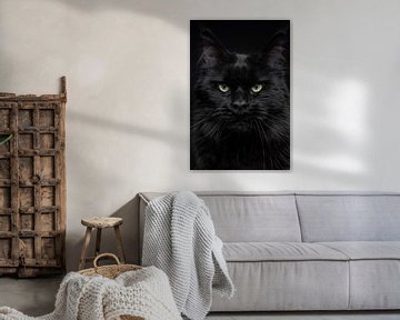 Nahaufnahme des Kopfes einer schwarzen Maine Coon Katze Schwarzer Panther von Nikki IJsendoorn