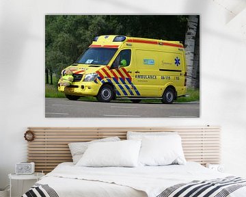 Ambulance Gelderland Zuid  (08 - 119) van de Wolf - Fotografie
