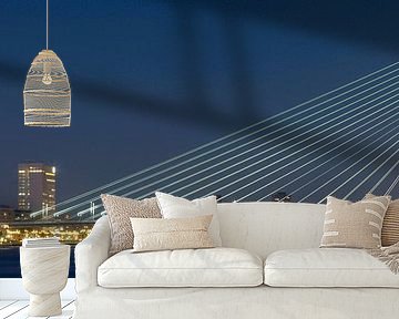 Skyline of Rotterdam