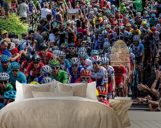 Aperçu de la chambre