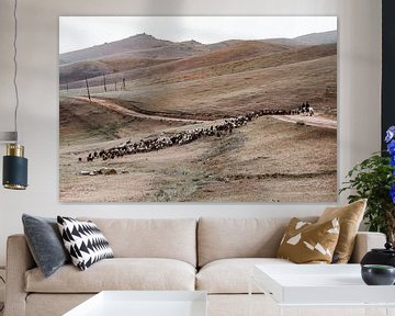 Troupeau de chèvres à travers les collines mongoles sur Holly Klein Oonk