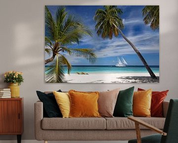 Tropical Daydream by Norbert Probst