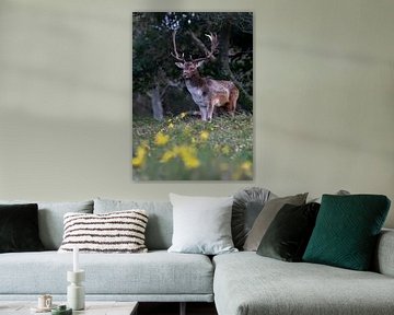 Mannetjes damhert met gele bloemen op de voorgrond. van Albert Beukhof