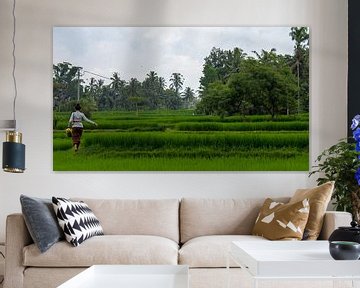 Girl in rice fields by Hugo Braun