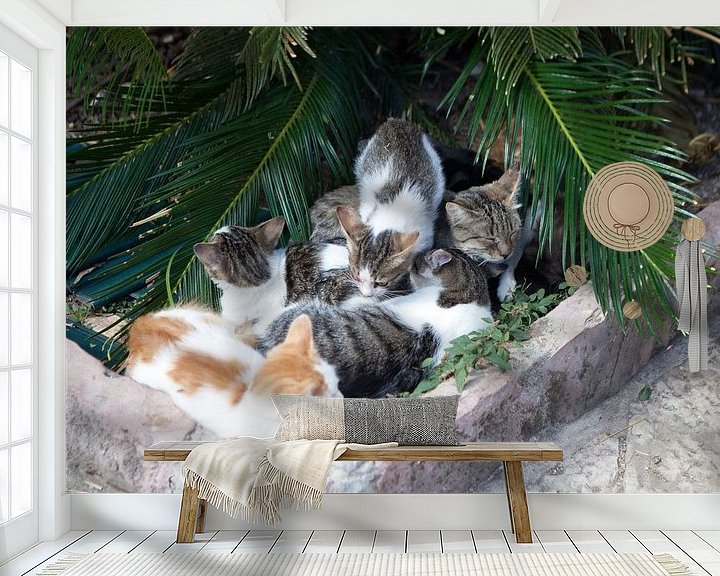 Sfeerimpressie behang: Kattenparadijs van t.ART