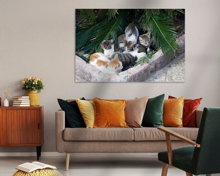 Sfeerimpressie: Kattenparadijs van t.ART
