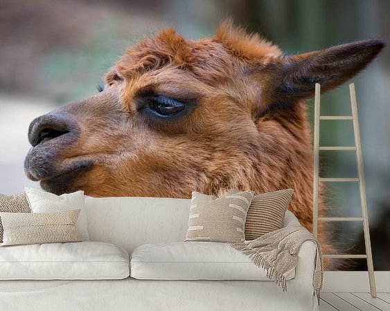Raumvorschau