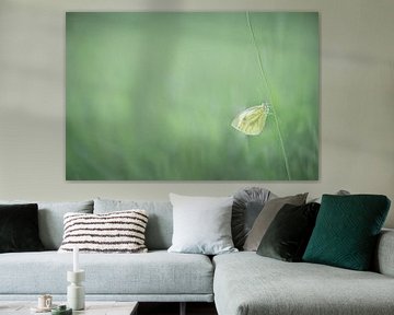 Dieren 5 van Mariëlle de Valk