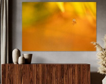 Dieren 7 van Mariëlle de Valk