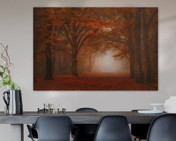 Dreamy foggy autumn forest. by Saskia Dingemans Awarded Photographer