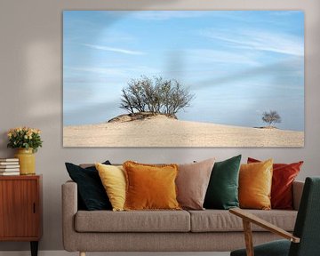 Landschappen 4 van Mariëlle de Valk