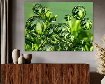 Green Bubbles van Gabi Siebenhühner