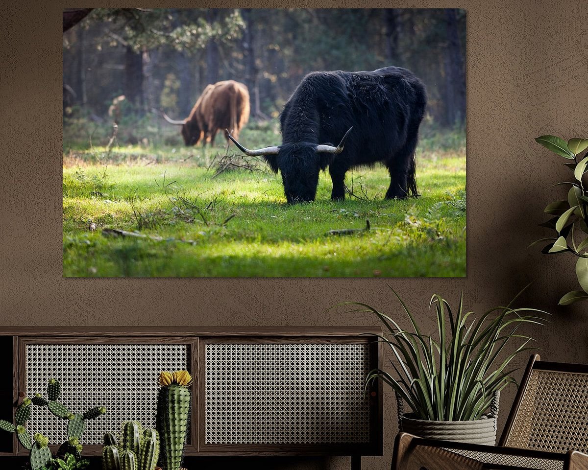 Voorbeeld van het werk in een kamer