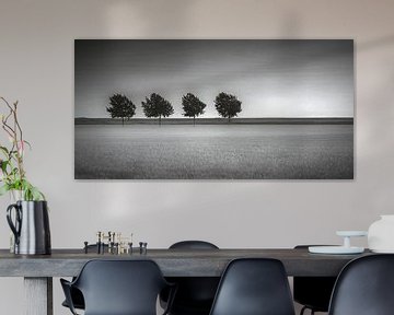 Polder Groningen by Annie Keizer