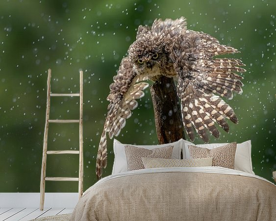 Aperçu de la chambre