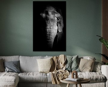Afrikaanse olifant in zwart wit close up van Mr. Djb