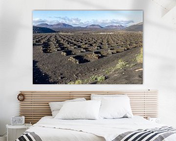 La viticulture dans la région de La Geria sur Lanzarote sur Reiner Conrad