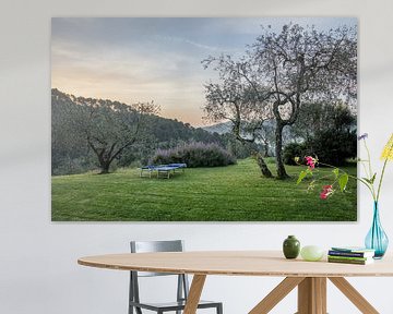 Sonnenaufgang in der Toskana Italien auf Hügeln zwischen Olivenbäumen von Joost Adriaanse