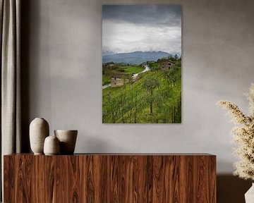 Toskanische Landschaft mit dunklen Wolken und Hügel mit Olivenbäumen von Joost Adriaanse