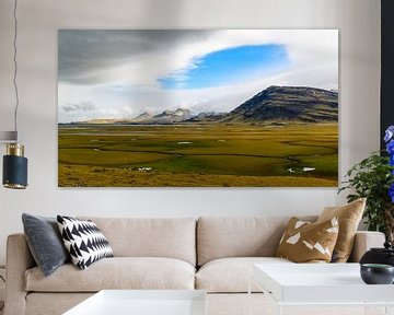 Weids moeraslandschap op IJsland