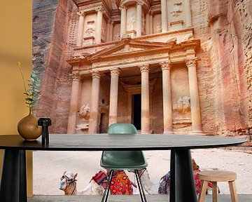 De schatkamer van Petra, wereldwonder in Jordanië van Teun Janssen