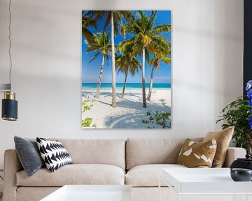 Palmbomen op het strand van tropisch paradijs Cayo Levisa, Cuba van Teun Janssen