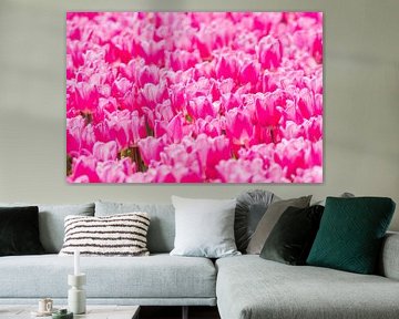 Tulipfield sur Adriaan Westra