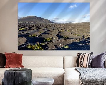 Weinbau in der Region La Geria auf der Kanareninsel Lanzarote von Reiner Conrad