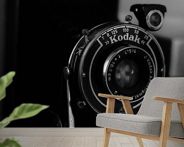Zeitloses Retro: Schwarz-Weiß-Foto aus einer Kodak-Kamera