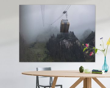 Luftseilbahn Wengen - Männlichen von Steven Van Aerschot