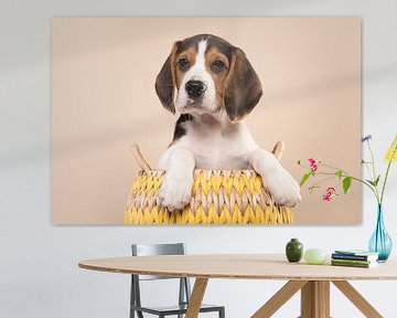 Beagle puppy op een creme kleurige achtergond van Elles Rijsdijk