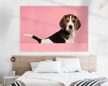 Beagle puppy op een roze achtergrond van Elles Rijsdijk