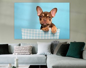 French bulldog puppy in a blue basket by Elles Rijsdijk