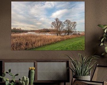 Blick auf den niederländischen Nationalpark De Biesbosch von Ruud Morijn