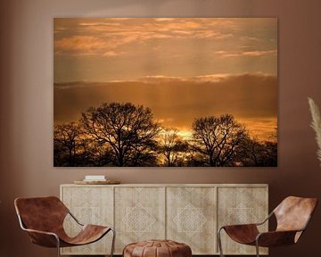 Coucher de soleil derrière les arbres