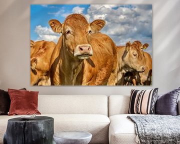 Portret of a cow van Myrna's Photography
