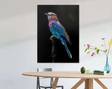 Songbird by Marielle Leenders