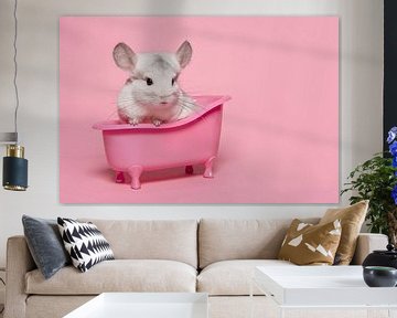 Schattige witte chinchilla in een roze badje in een roze achtergrond van Elles Rijsdijk