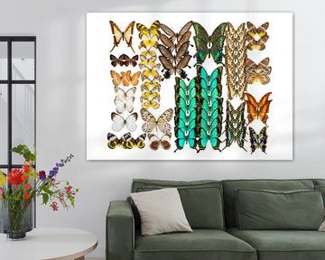 Collection Butterflies by Marielle Leenders