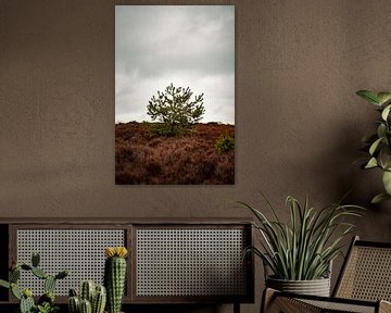 Minimalistische Landschaft auf der Veluwe von Marco Scheurink