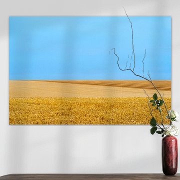 Paysage Culturel # 7