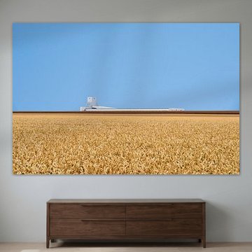 Paysage Culturel #11