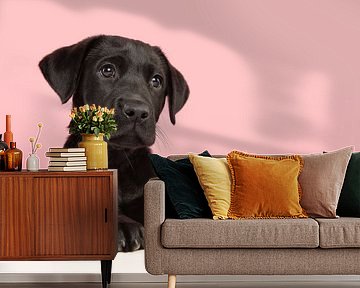Portret van een schattig zwart labrador puppy van Elles Rijsdijk