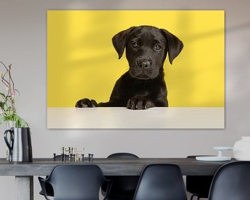 Portet van een labrador retriever pup tegen een gele achtergrond van Elles Rijsdijk